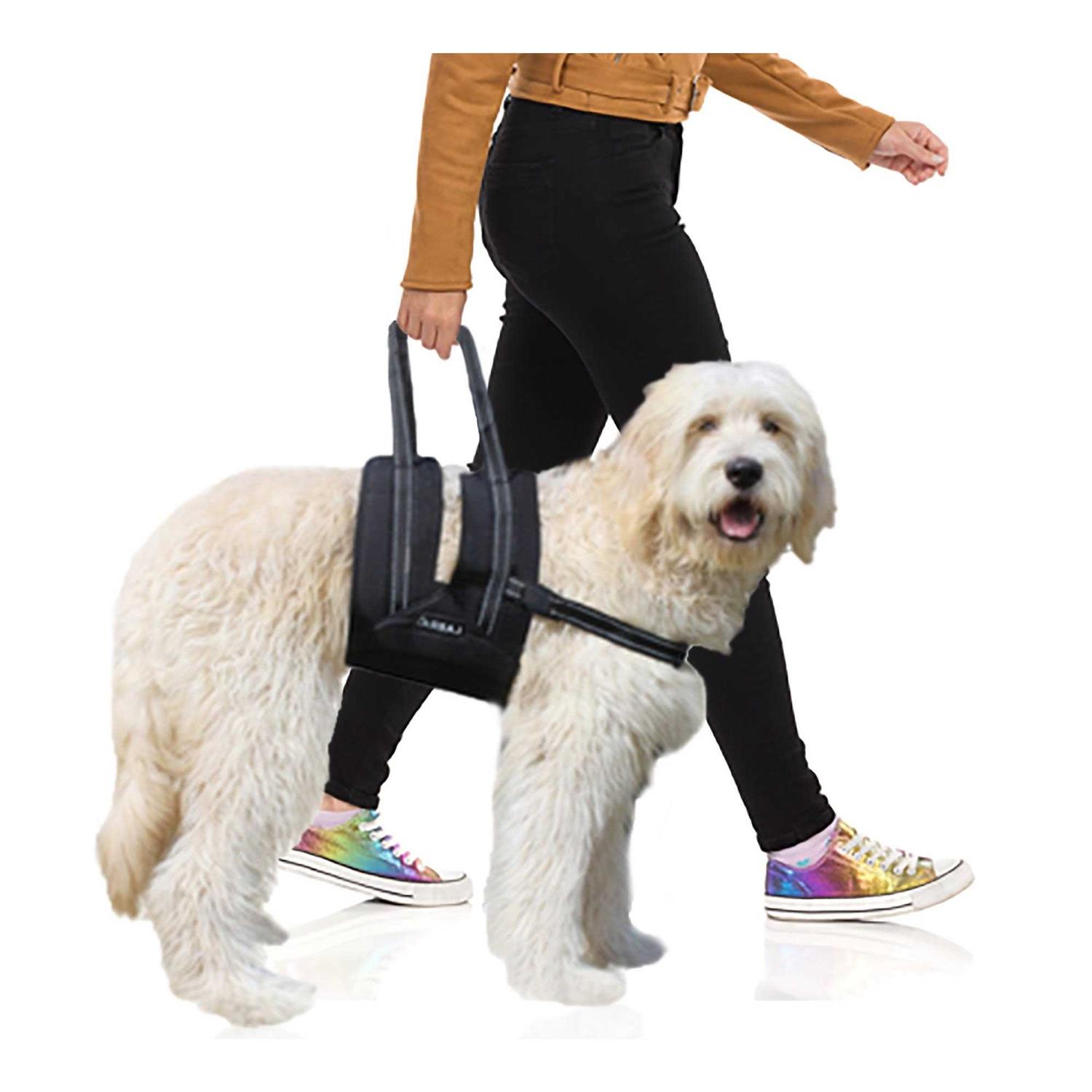 Labra Veterinarian Approved Dog Canine K9 Sling Assist with Chest Strap Adjustable Reflective Straps Support Harness Helps with Loss of Stability