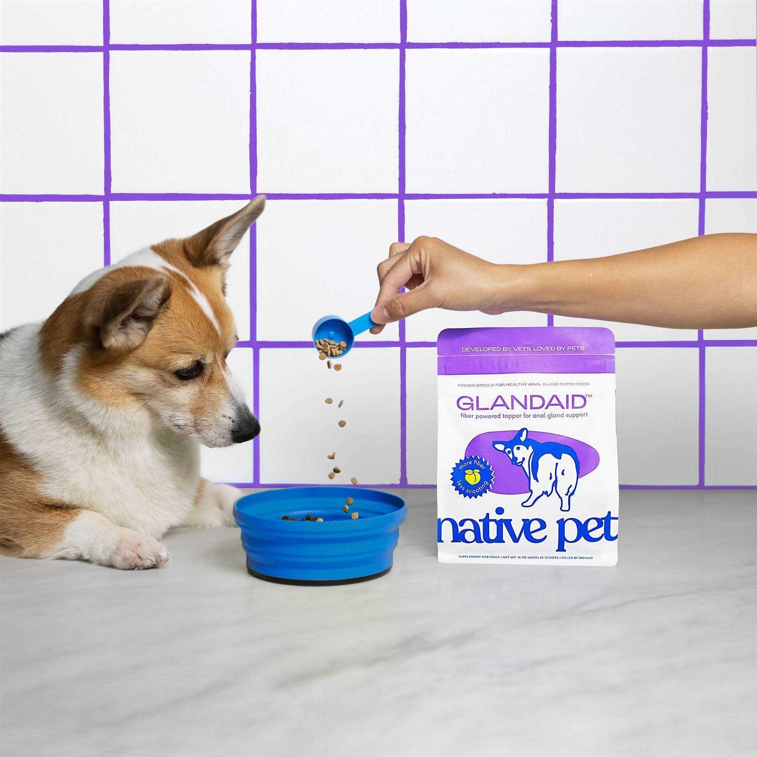 Native Pet GlandAid Anal Gland Supplement for Dogs