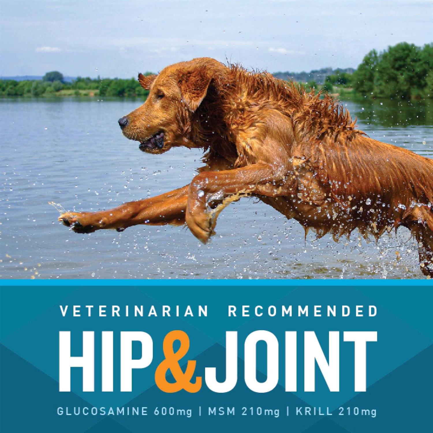 VetIQ Hip and Joint