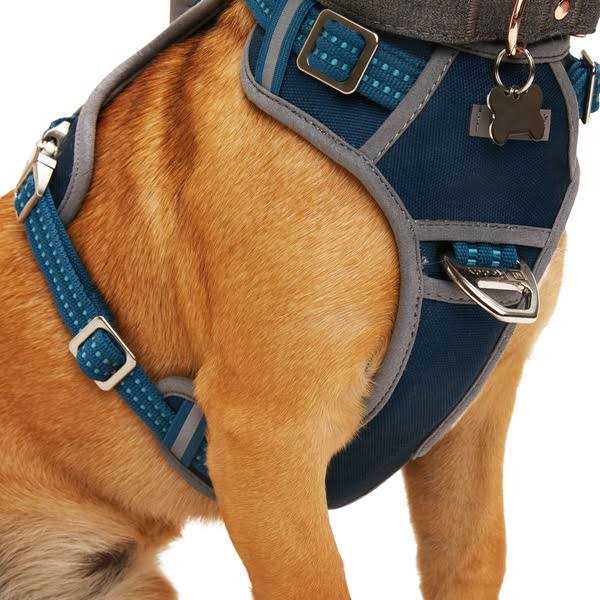 Reddy Navy Dog Harness