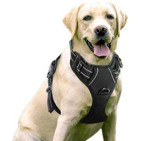 rabbitgoo Dog Harness No Pull Pet Harness with 2 Leash Clips Adjustable Soft Padded Dog Vest