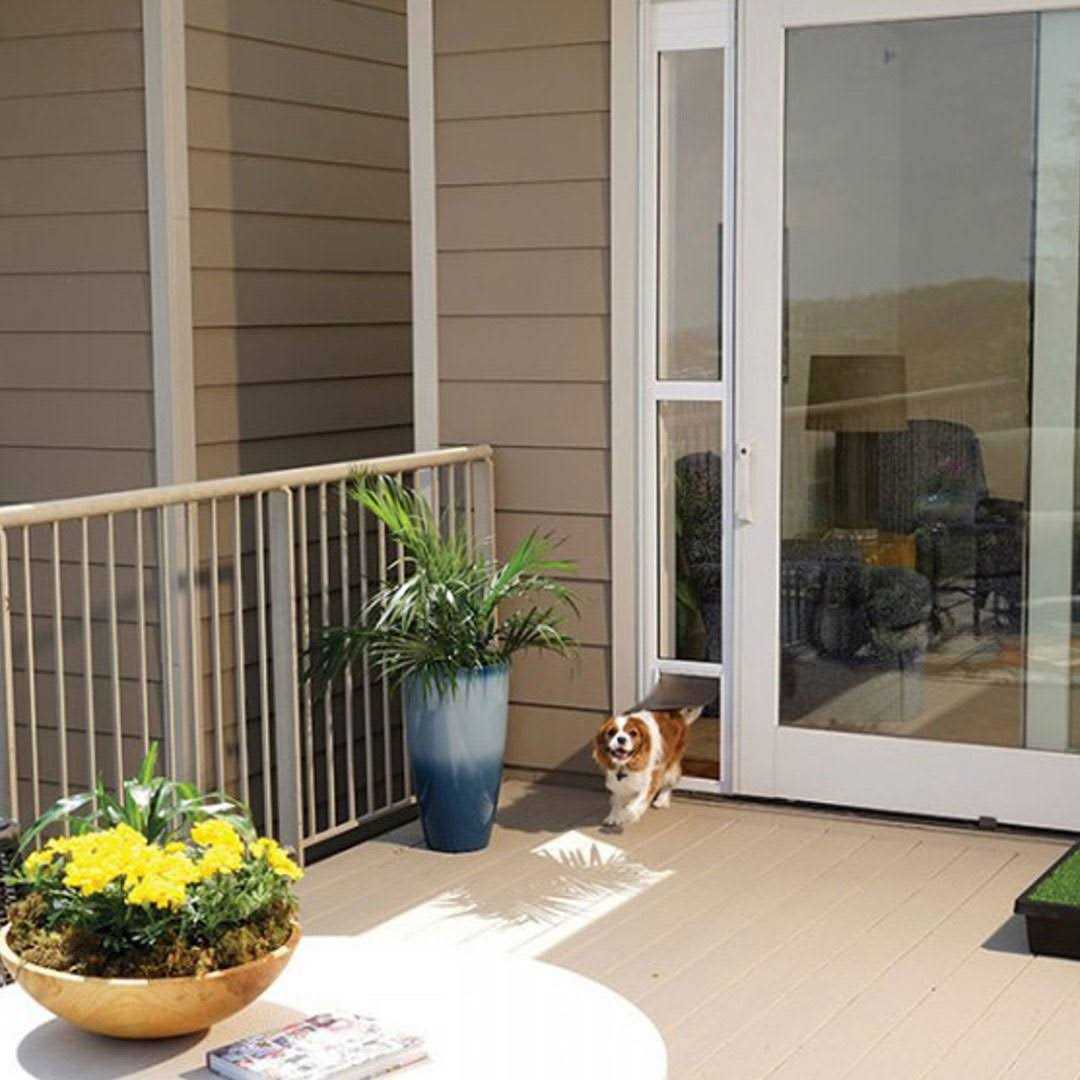 PetSafe Sliding Glass Pet Door