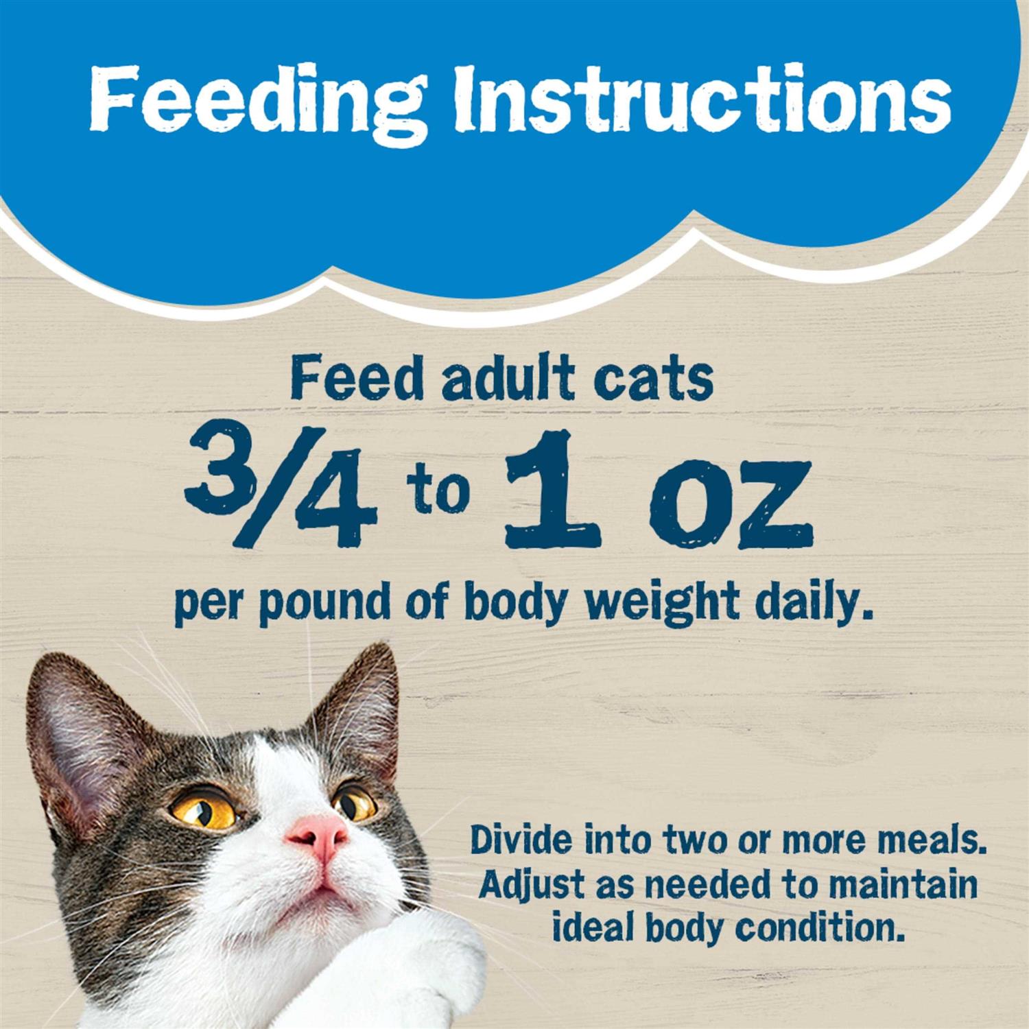 Purina Friskies Wet Cat Food Ocean Favorites