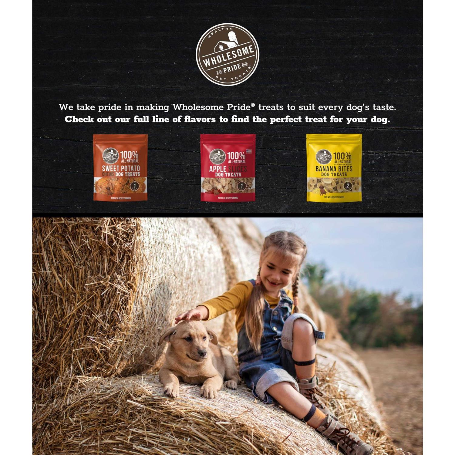 Wholesome Pride Sweet Potato Chews Dog Treats