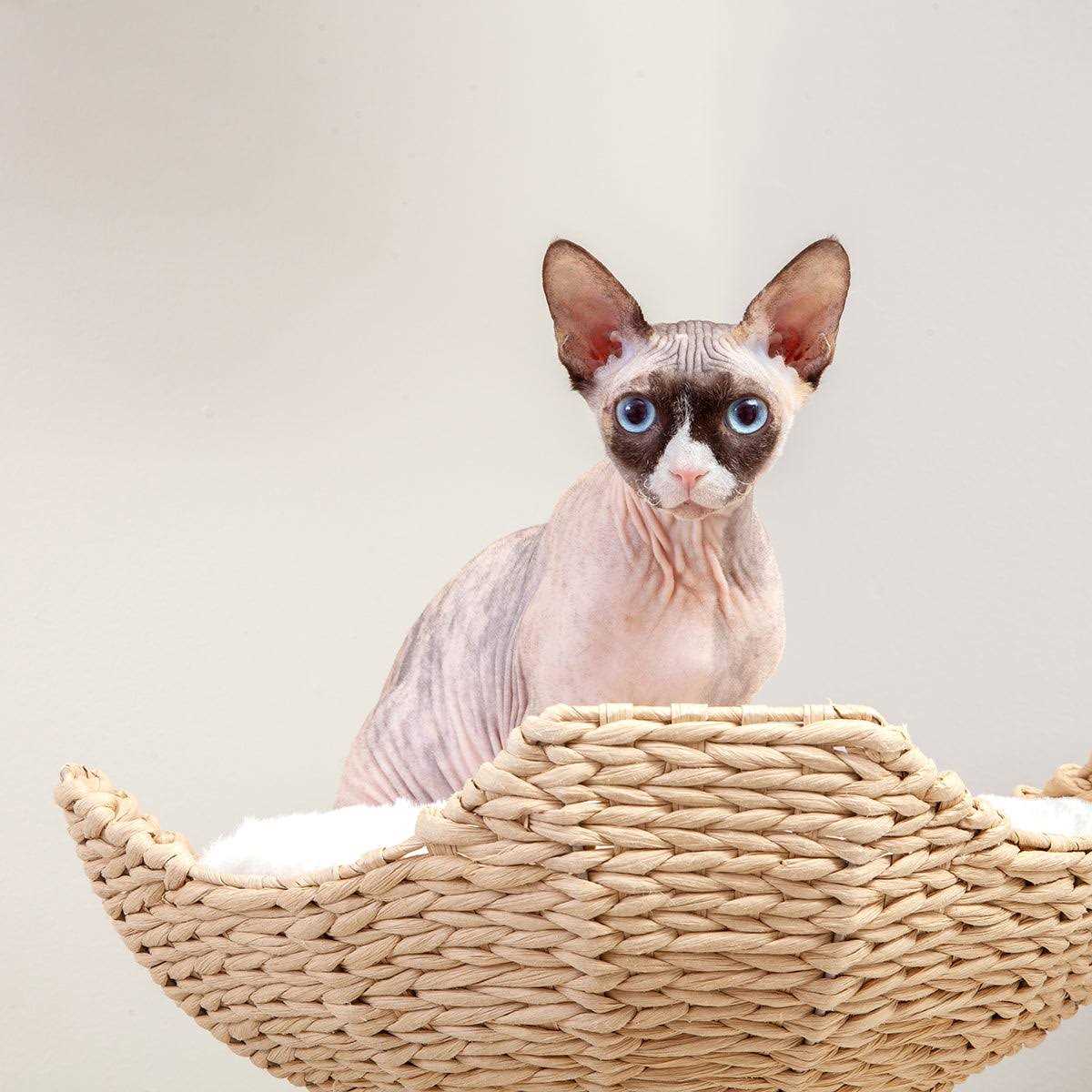 Habitat Haven Modern Cat Tree Big Elevated Tower