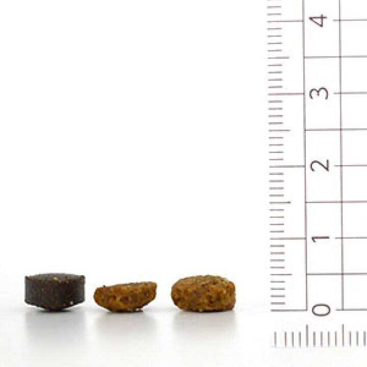 Forza10 Nutraceutic Active Urinary Dry Cat Food