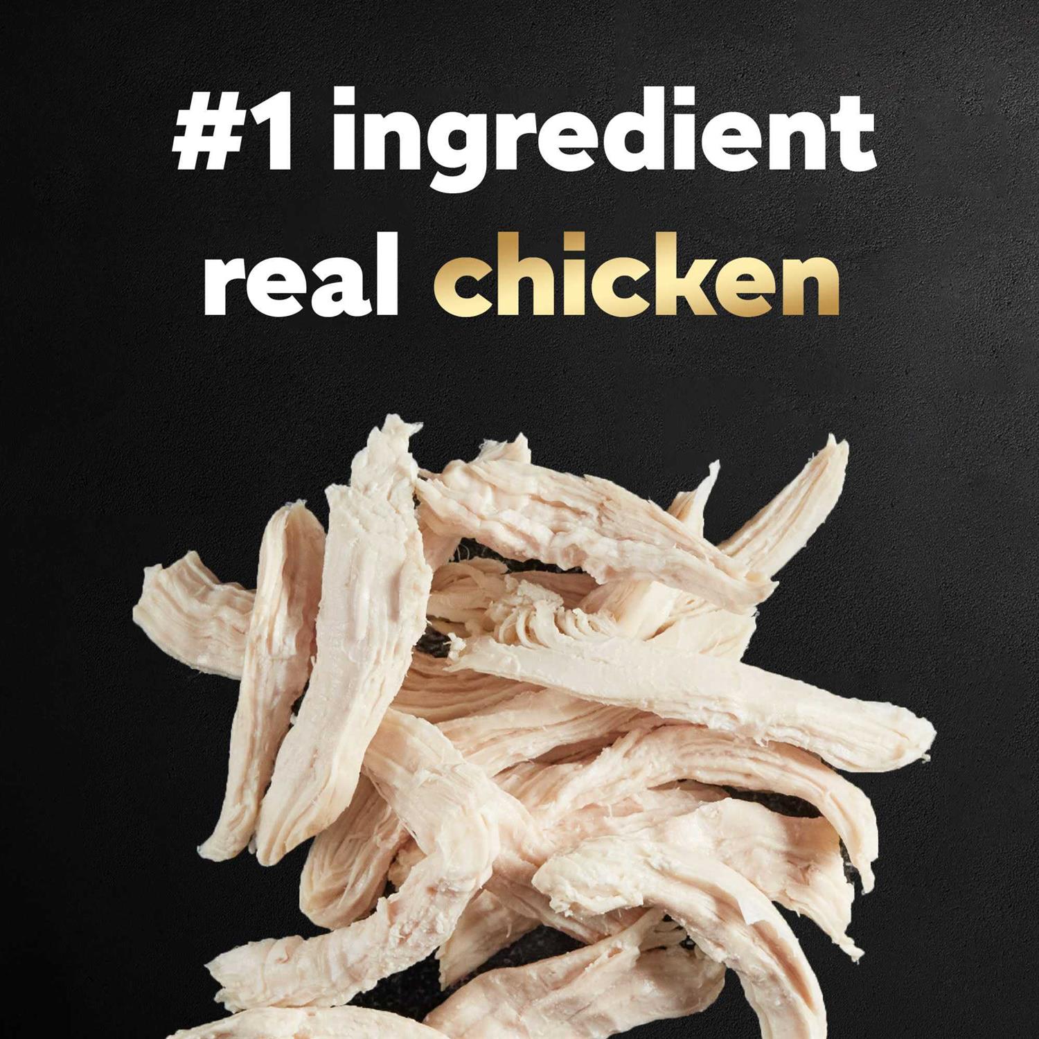 Cesar Simply Crafted Chicken Wet Dog Food