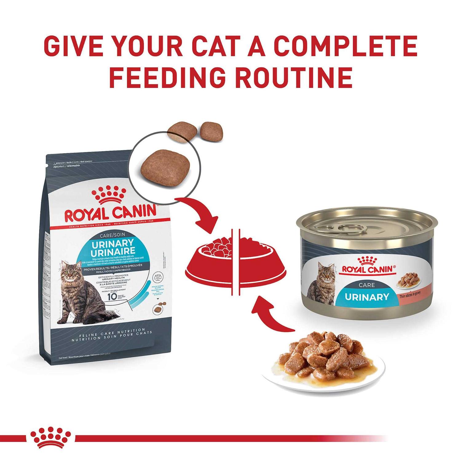 Royal Canin Feline Care Nutrition Urinary Care Thin Slices in Gravy Wet Cat Food