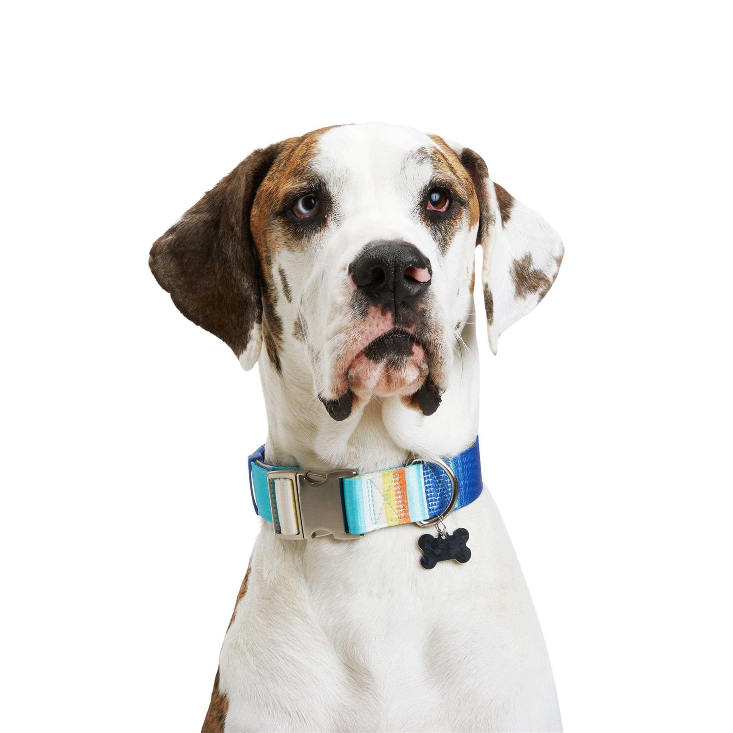 YOULY Reflective Dog Collar