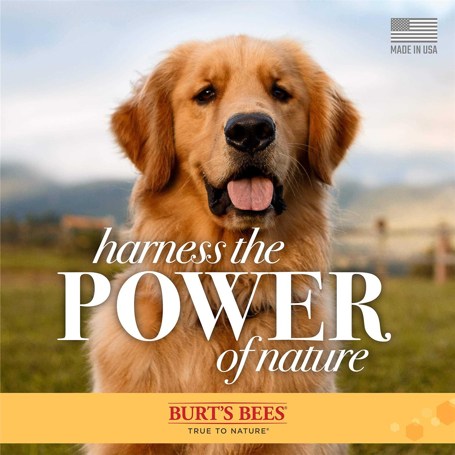 Burt’s Bees Shed Control Shampoo for Dogs with Omega-3 & Vitamin E