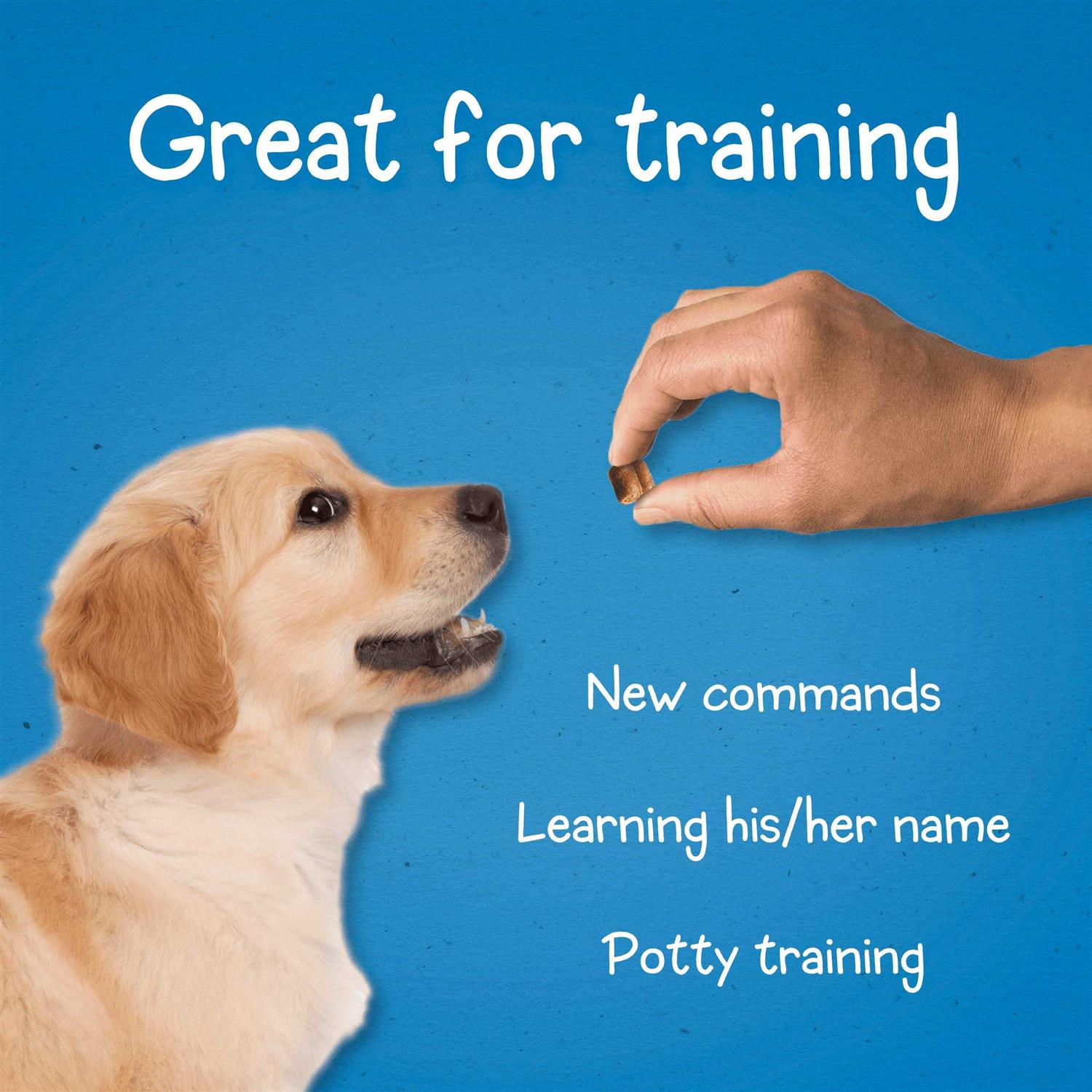 Purina Puppy Chow Dog Training Treats
