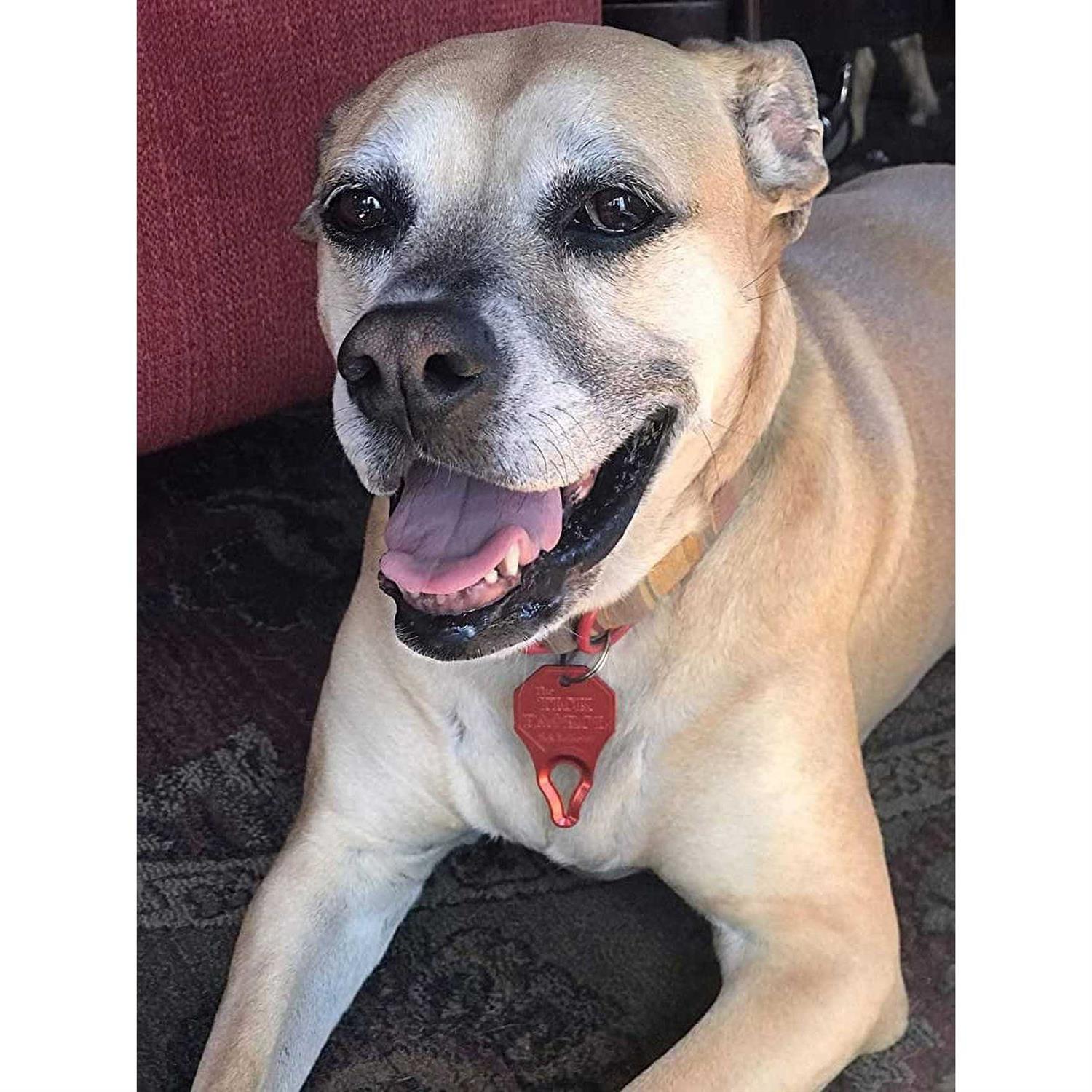 The Tick Patrol Tick Remover