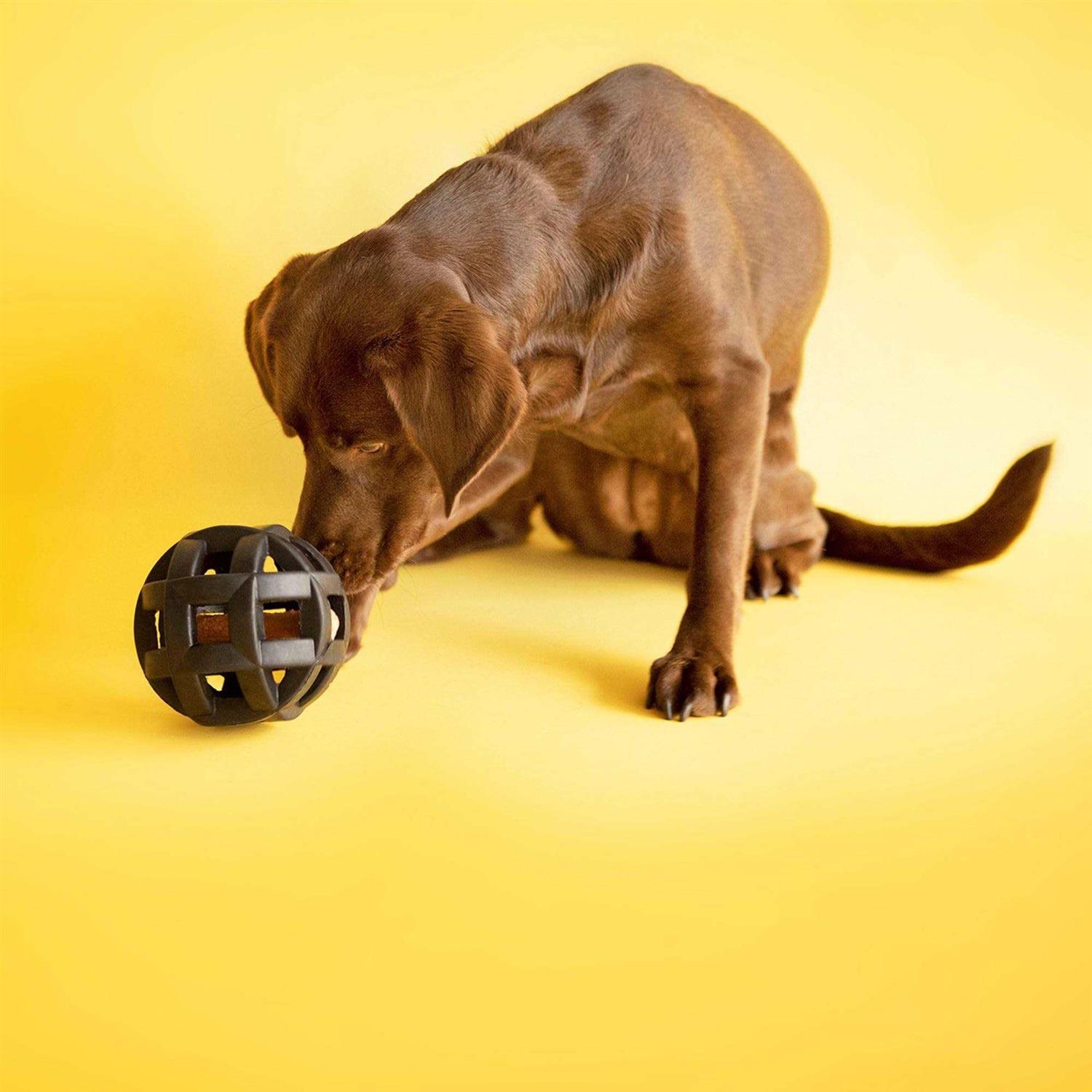 JW Pet Hol-ee Roller X Extreme Dog Toy