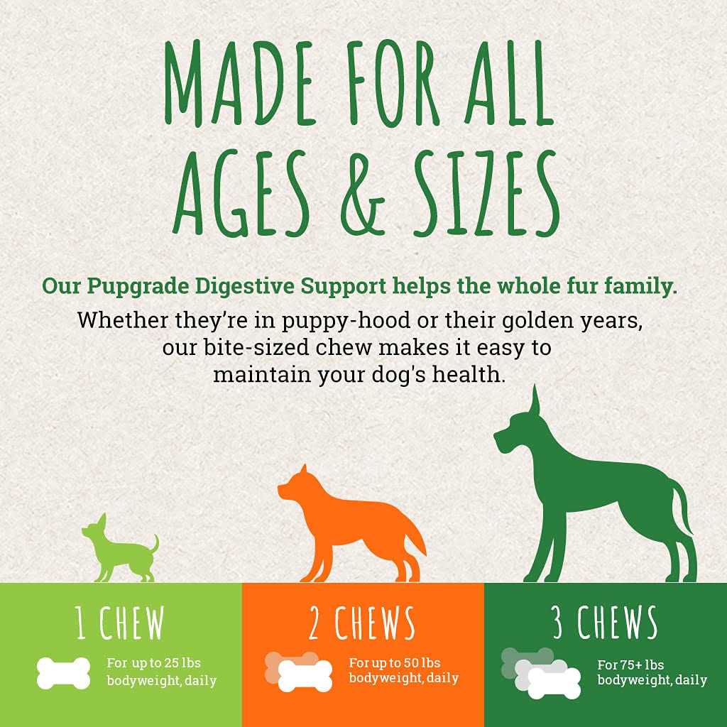Pupgrade Digestive Support Chews for Dogs Upset Stomach