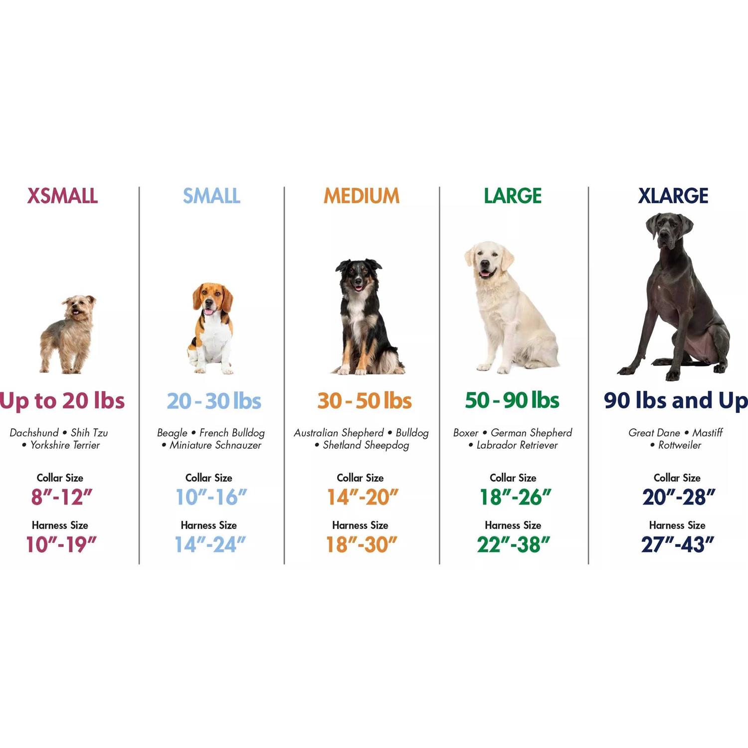 Coastal Pet Macho Dog Double-Ply Nylon Collar with Roller Buckle 1.75 Wide Black