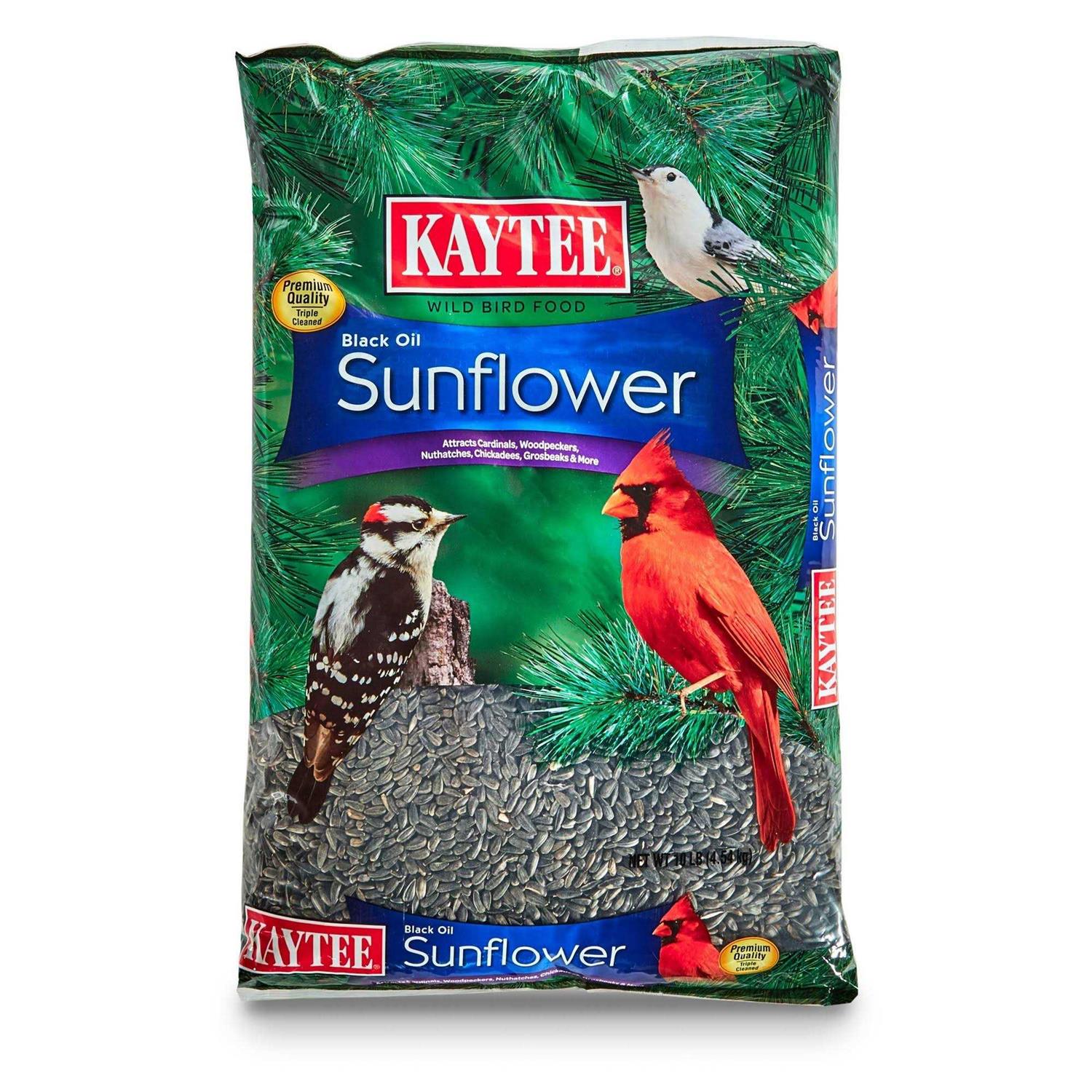 Kaytee Black Oil Sunflower Wild Bird Food