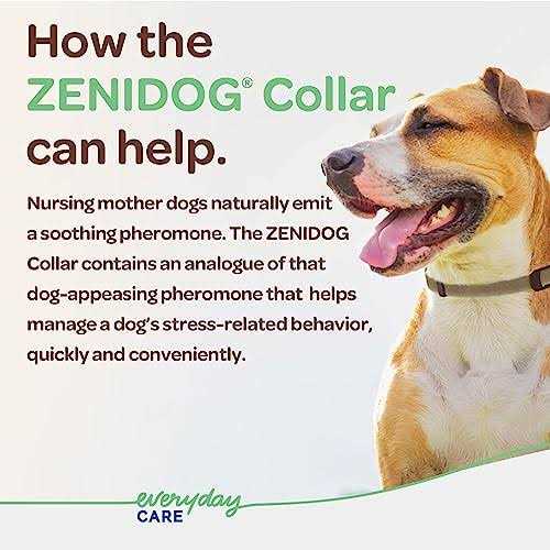 Zenidog Long-acting Collar Medium/large