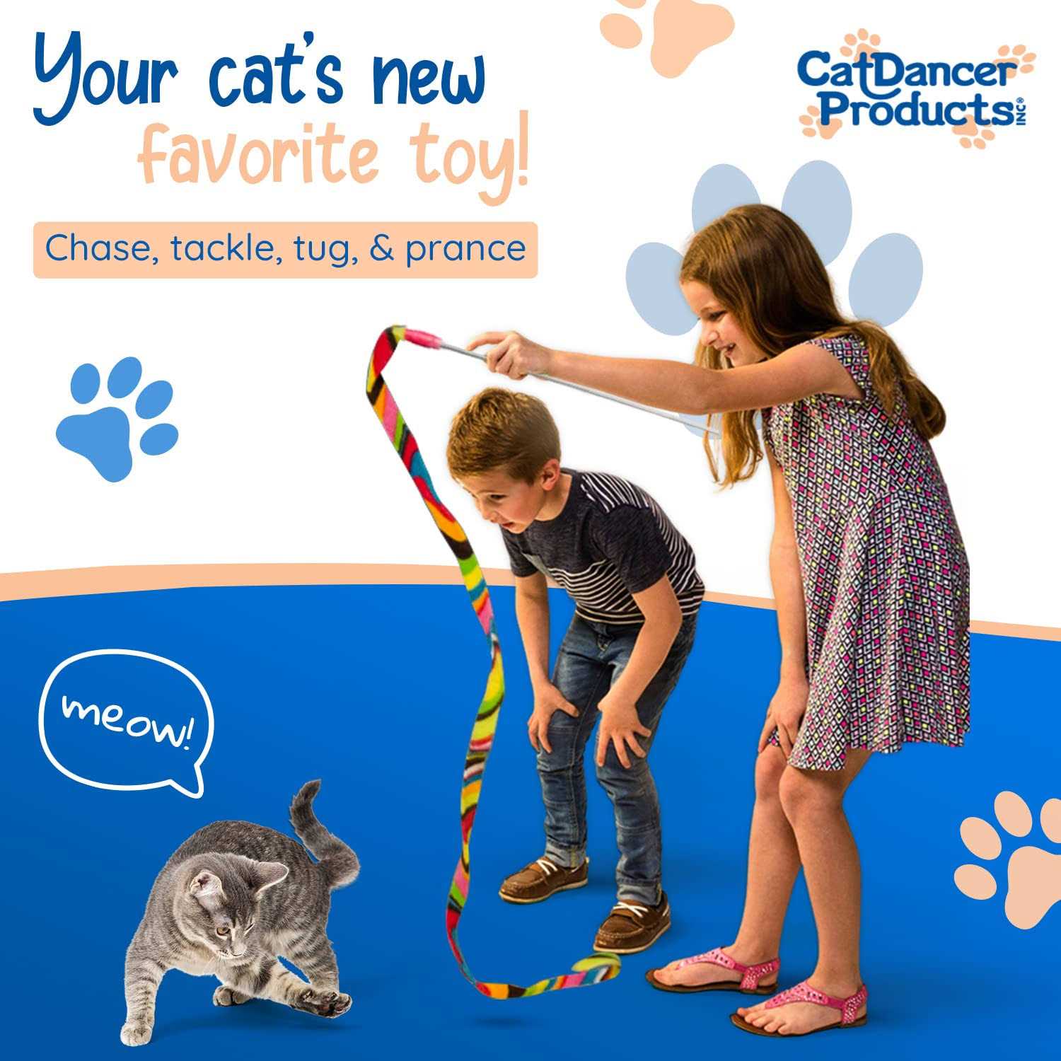 Cat Dancer Charmer Cat Toy