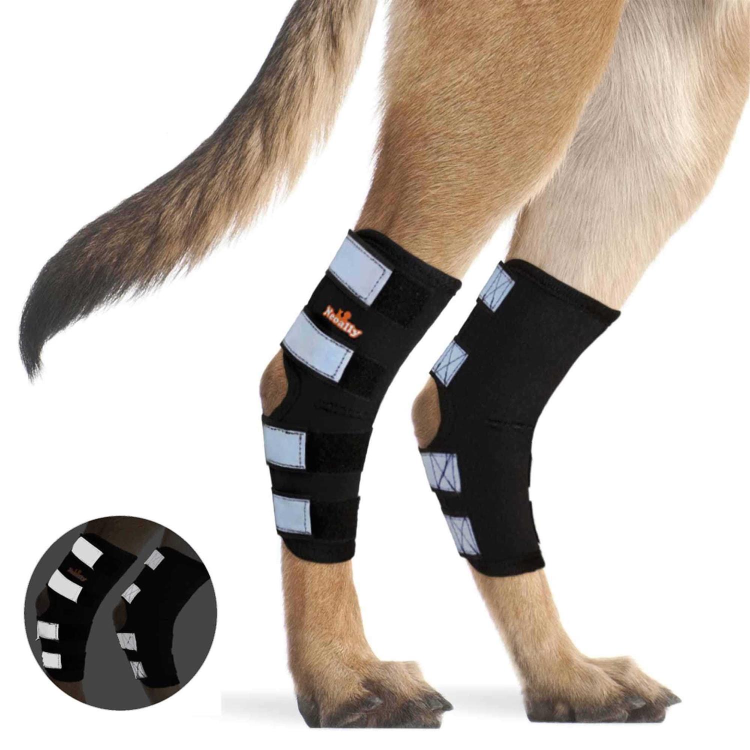 Neoally Dog Hind Leg Brace Canine Rear Leg Support with Safety Reflective Straps for Joint Injury