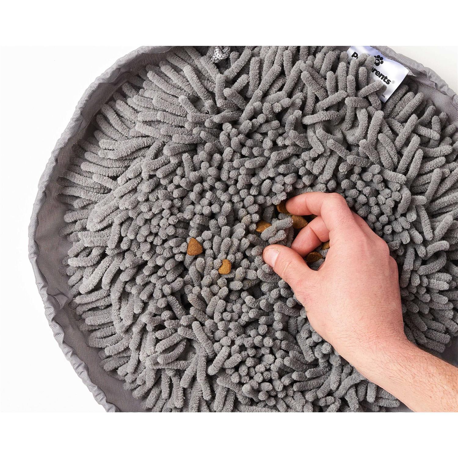 Pet Parents Forager Snuffle Mat & Slow Feeder Dog Bowl