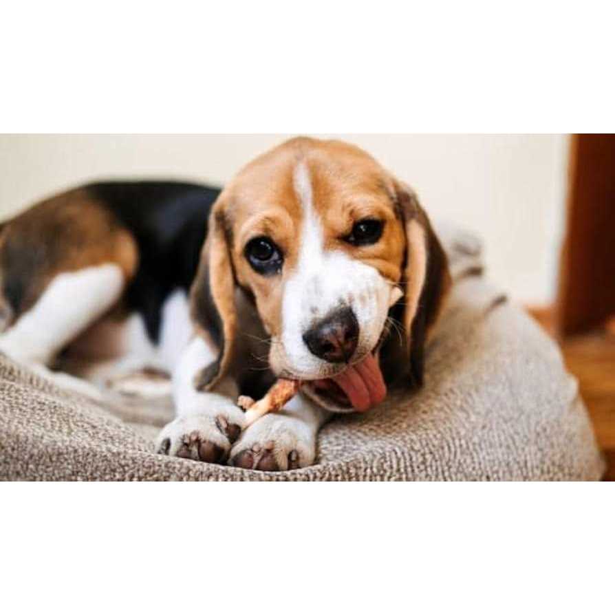 Dentley’s Gourmet Rawhide Stuffed Rolls Dog Treats