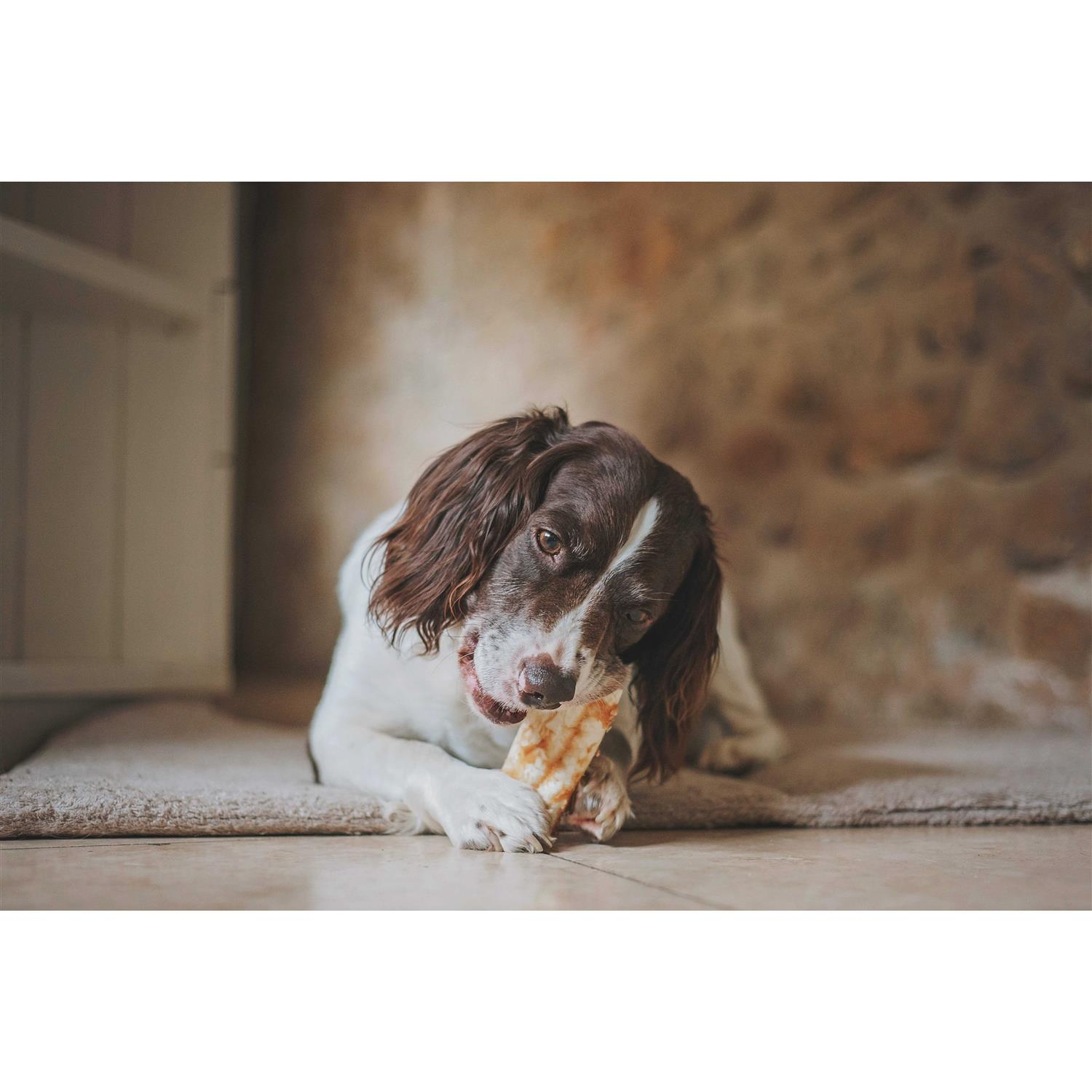 Earth Animal No Hide Peanut Butter