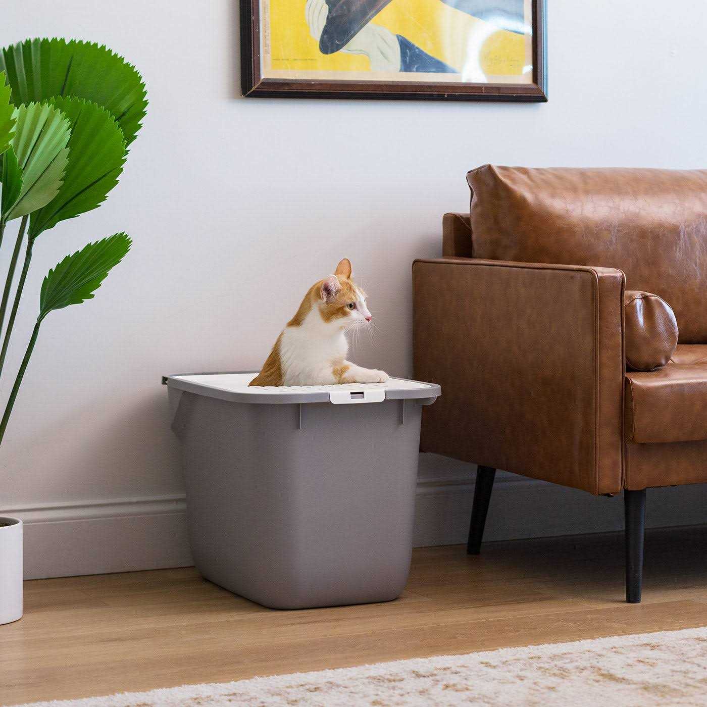 IRIS USA Top Entry Cat Litter Box