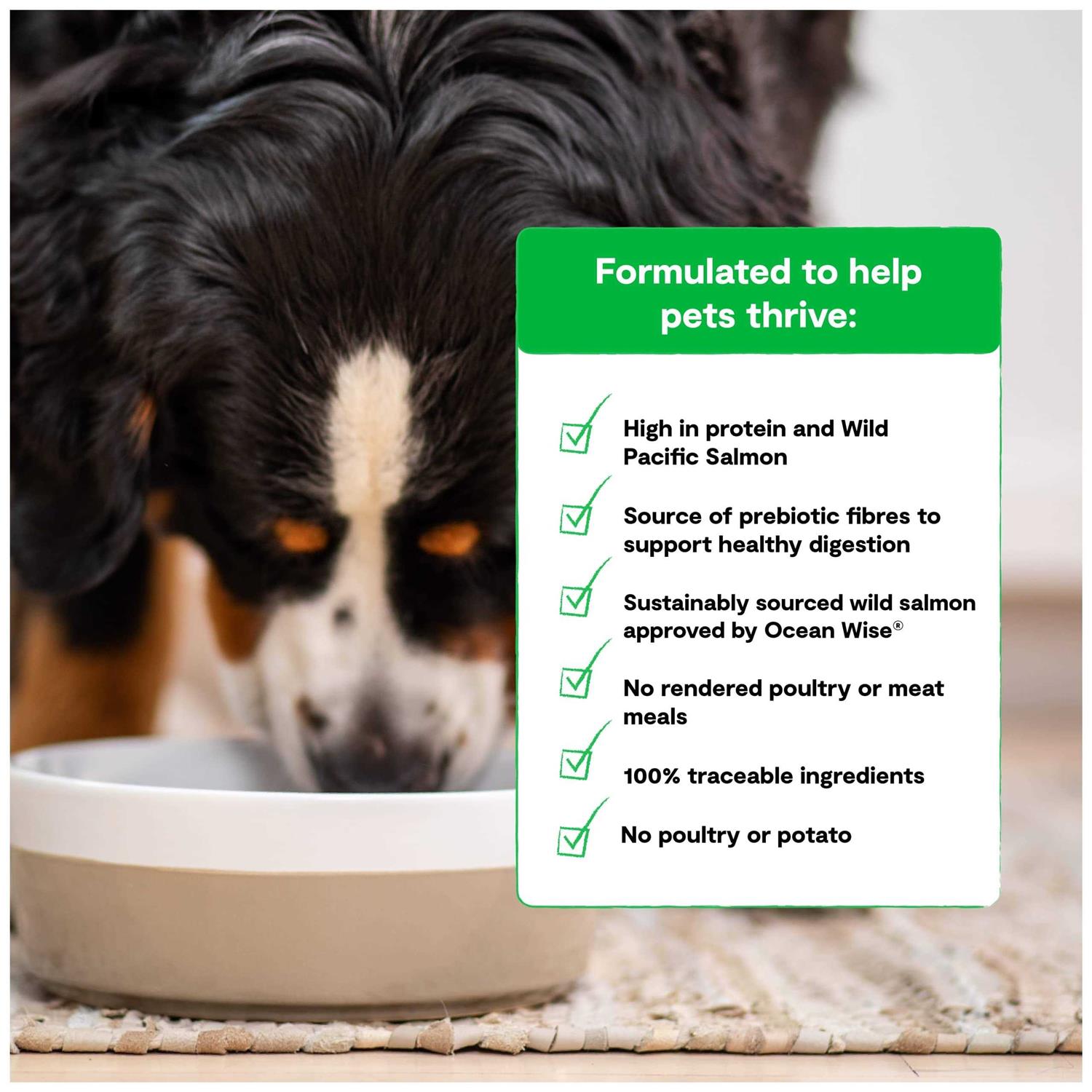 Open Farm Grain-Free Wild-Caught Salmon Dry Dog Food