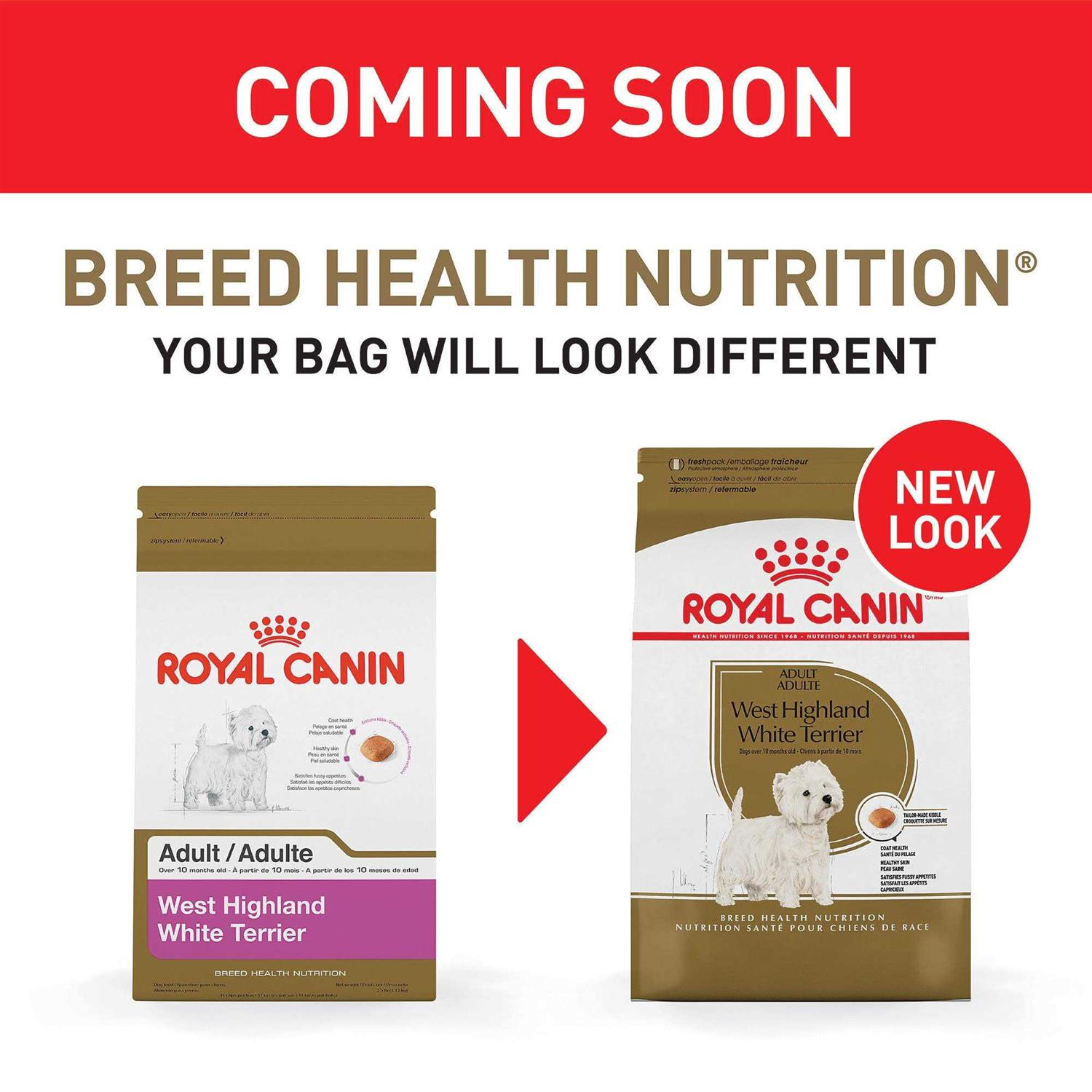 Royal Canin West Highland White Terrier Adult Dry Dog Food