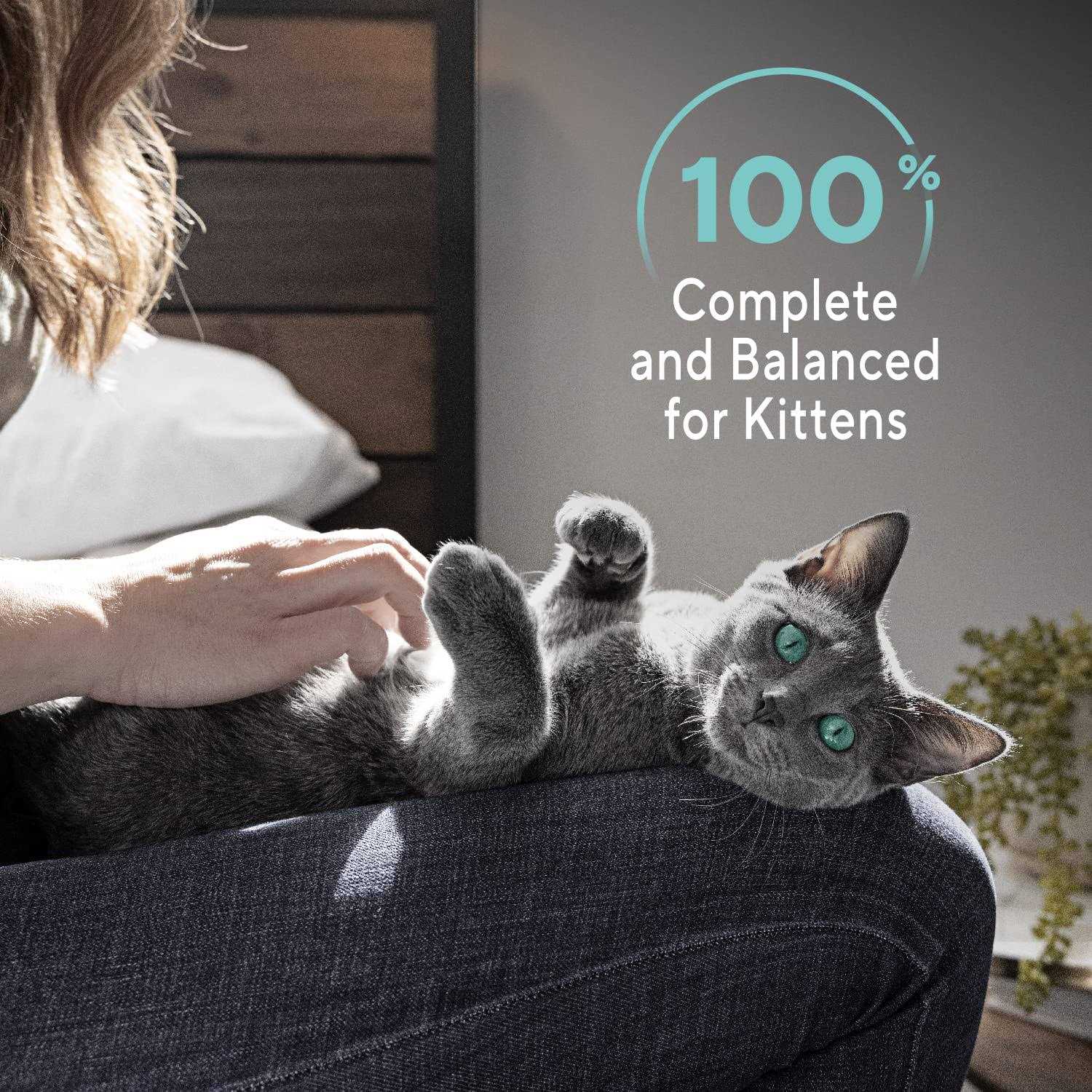 Sheba Perfect Portions Wet Kitten Food Pate