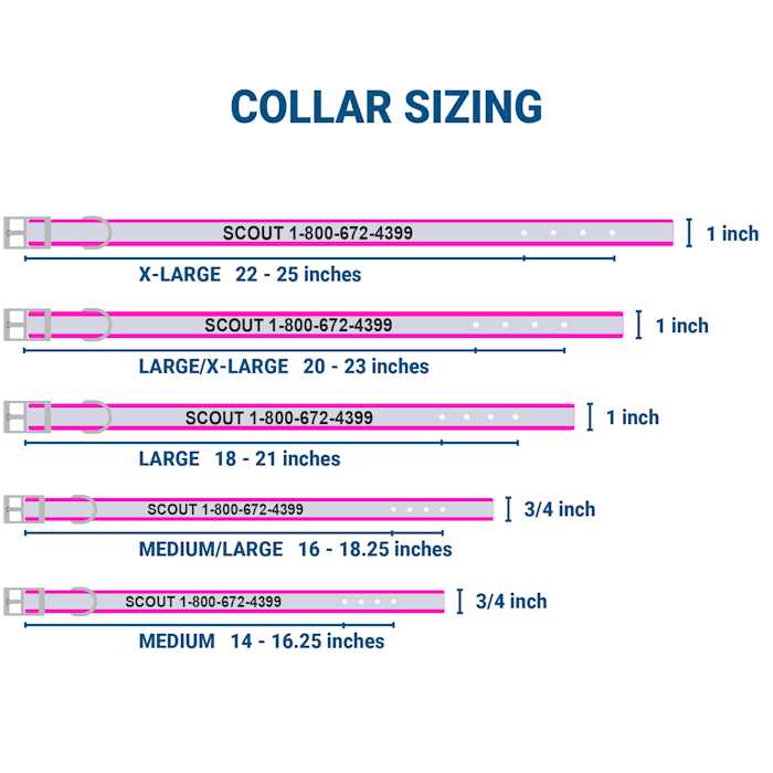 GoTags Adjustable Nameplate Personalized Dog Collar