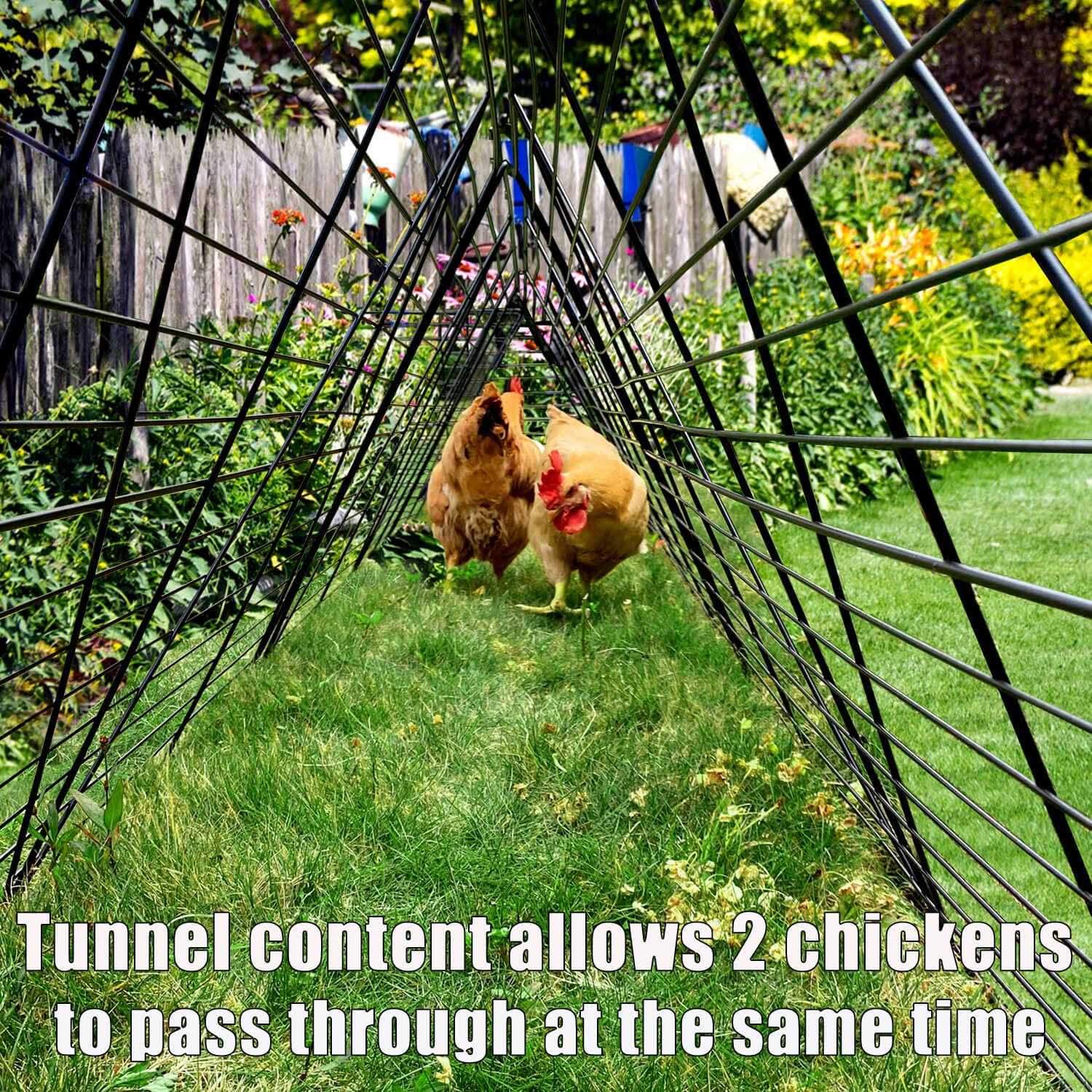 Chicken Tunnels for Yard Chicken Tunnels for Outside Chicken Run Coop Tunnel