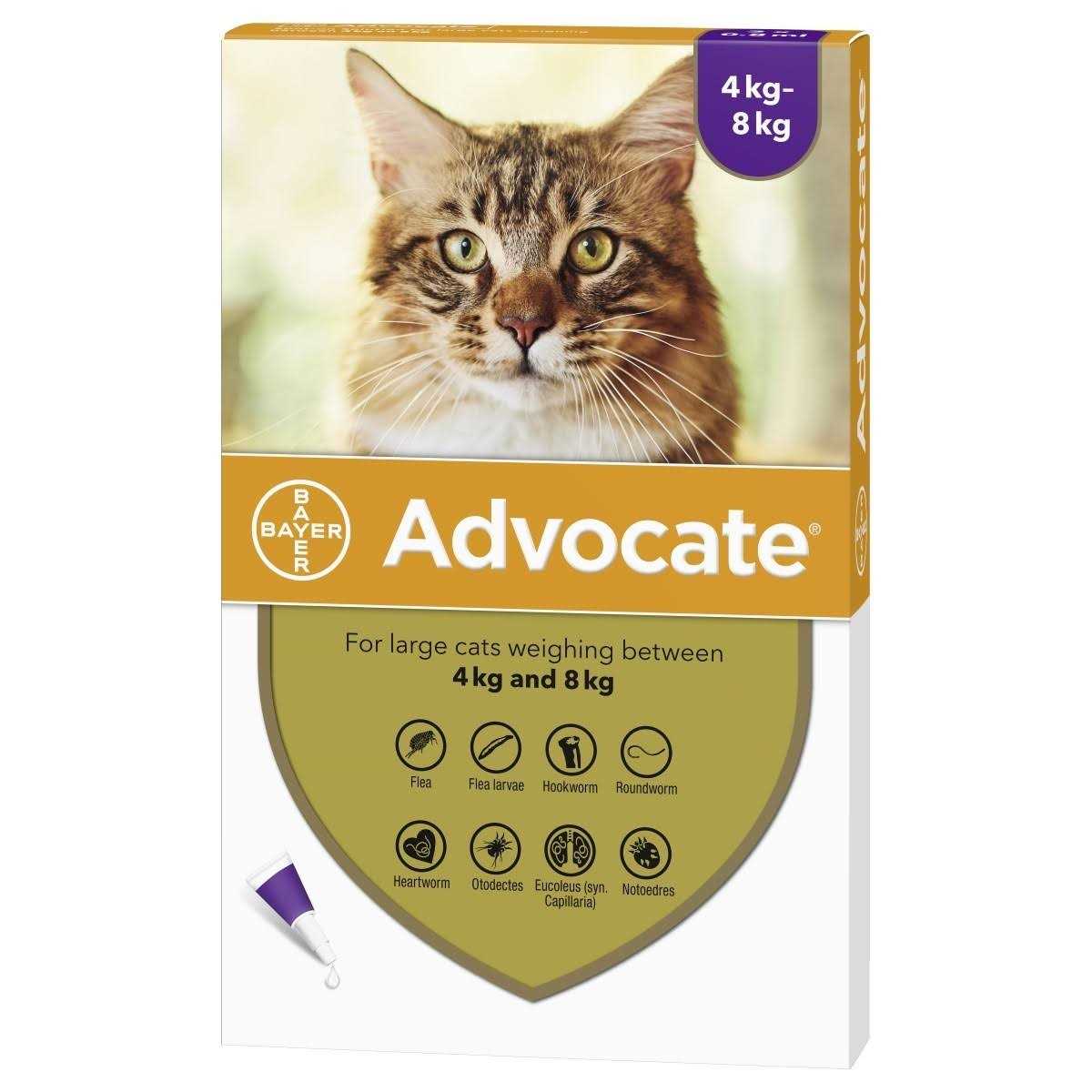 Advocate for Large Cat over 4kg