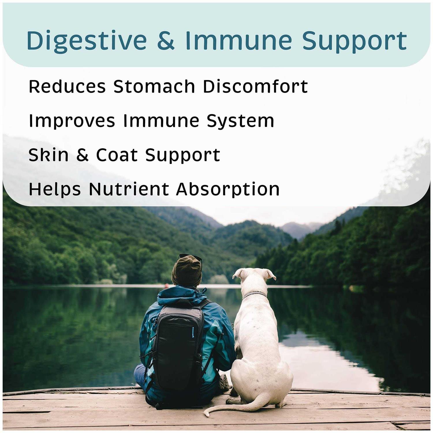 VetOne Advita Probiotic Nutritional Supplement for Dogs