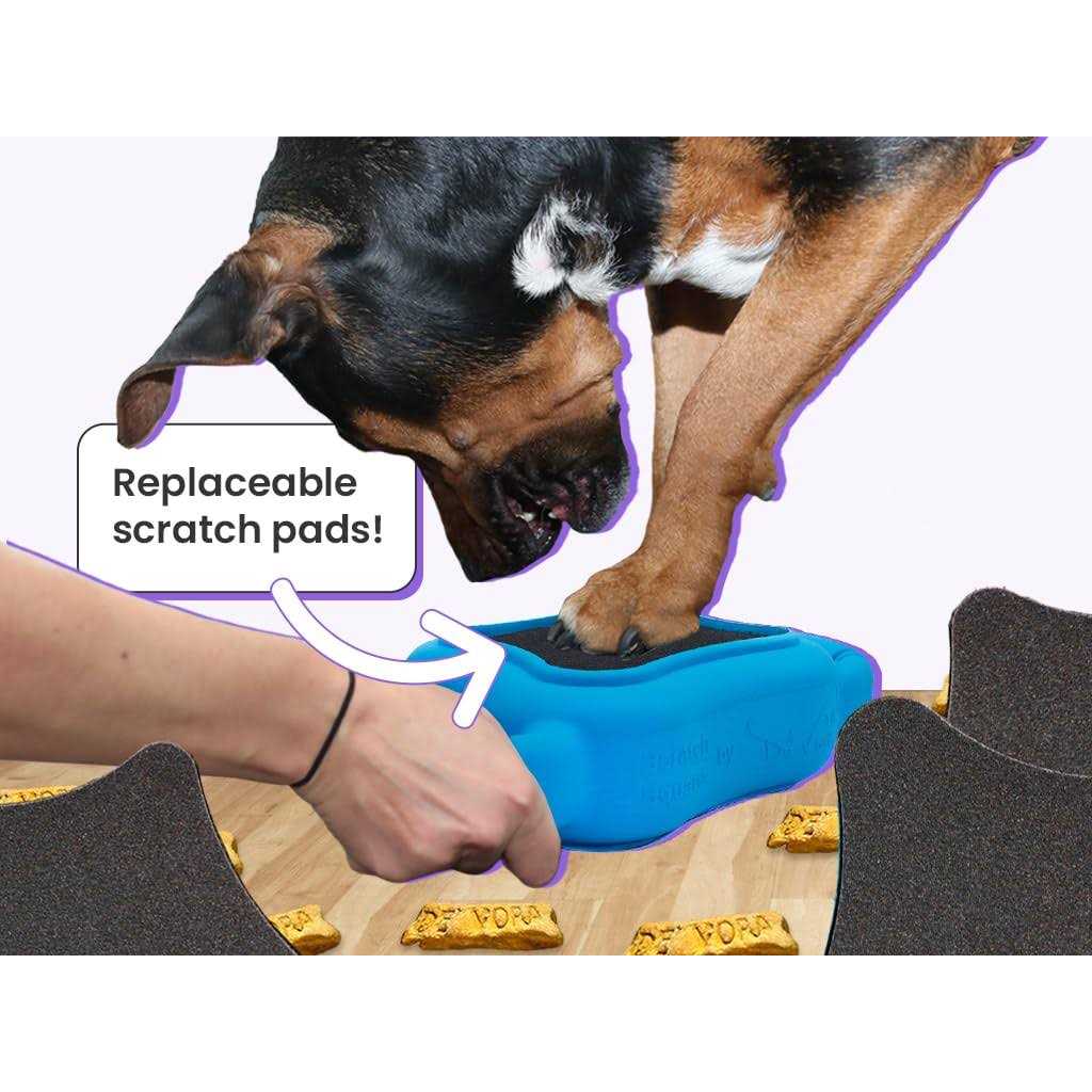 de’ Vora Scratch Square Dog & Cat Grooming Toy
