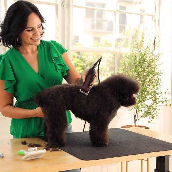 Andis Excel 5-Speed Detachable Blade Clipper Blue