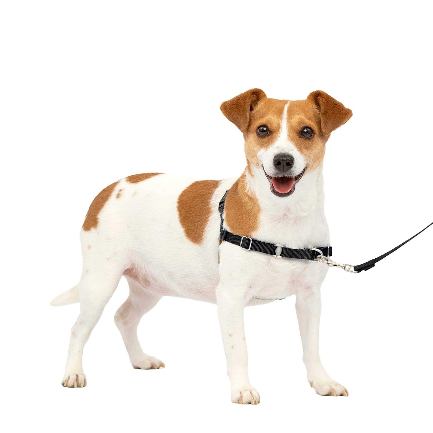 PetSafe Easy Walk Dog Harness