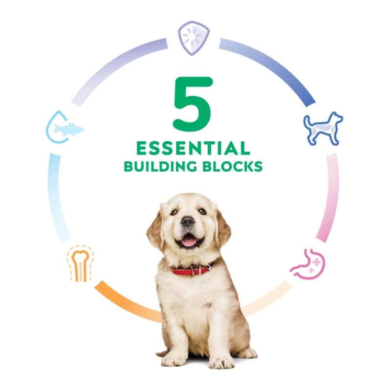 Hill’s Science Diet Large Breed Puppy Chicken Recipe Dry Dog Food