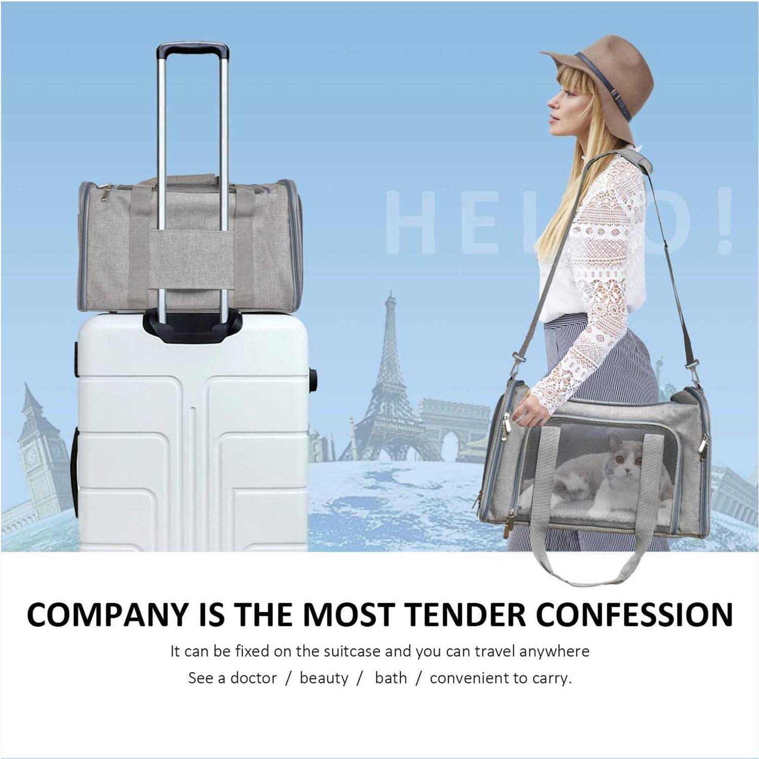 Wewdigi Pet Carrier for Cats, Dogs and Puppies