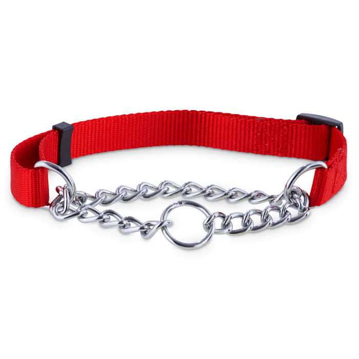 EveryYay Check Nylon & Chain Dog Collar