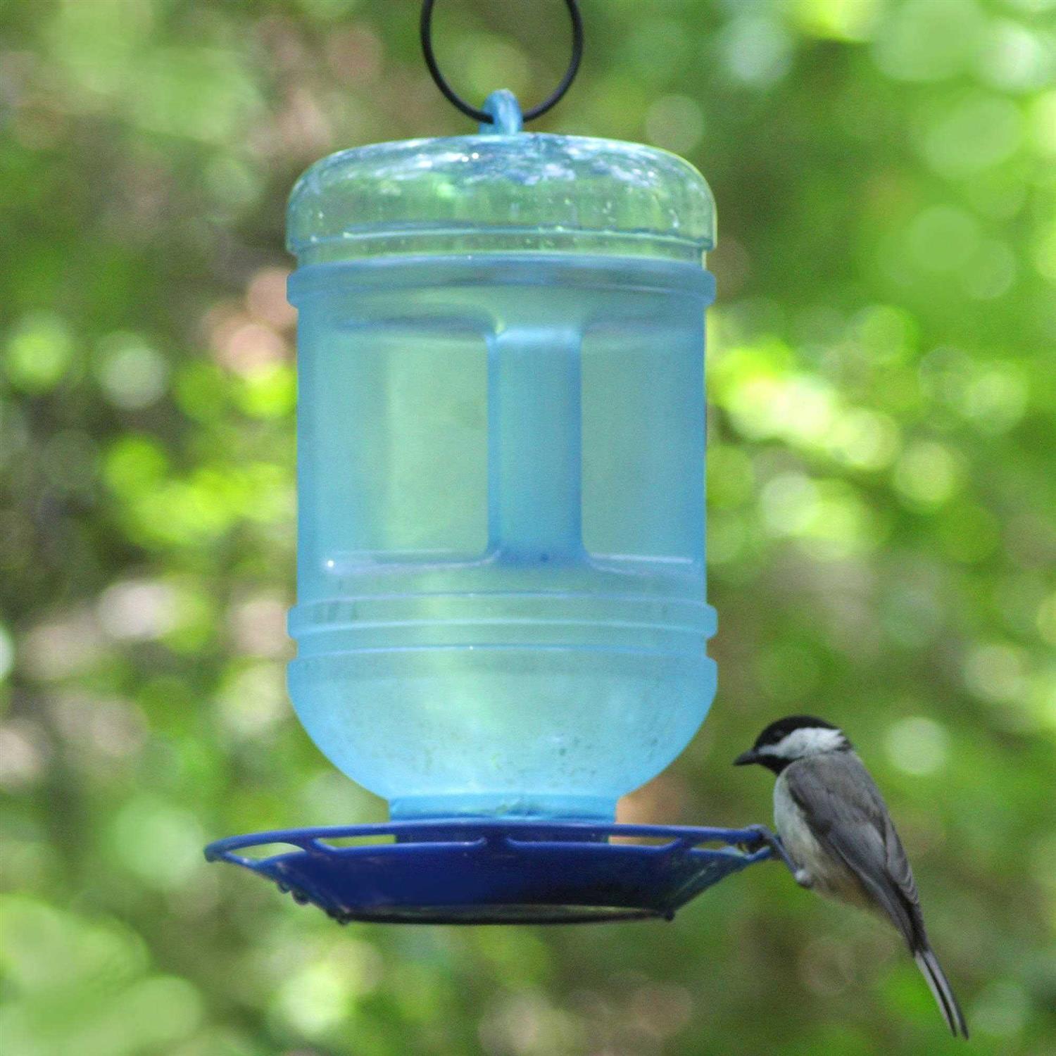 Perky Pet Water Cooler Bird Waterer
