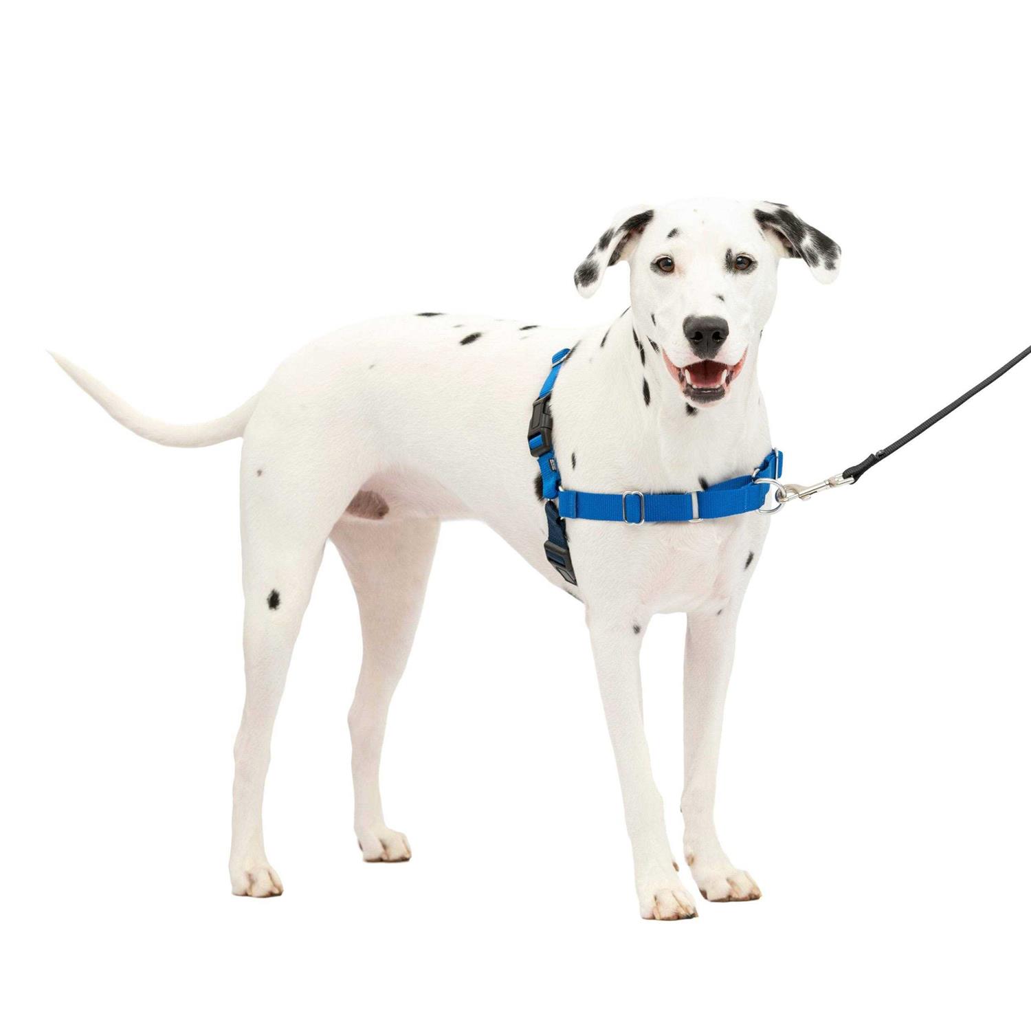 PetSafe Easy Walk Dog Harness