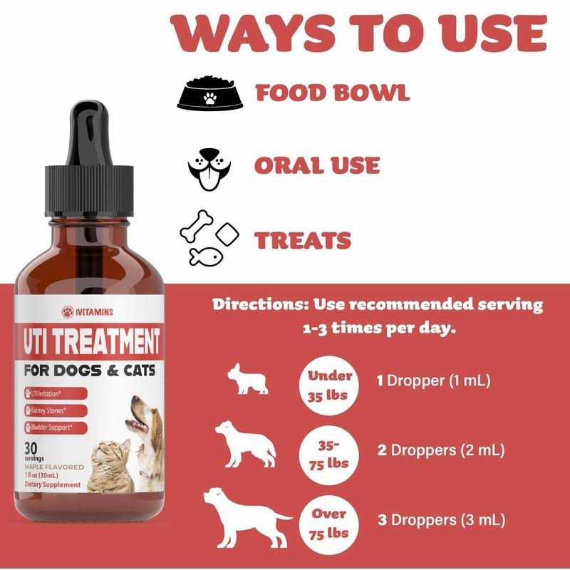 iVitamins Dog UTI Treatment Cat UTI Medicine Pumpkin for Dogs Cranberry Supplement for Dogs