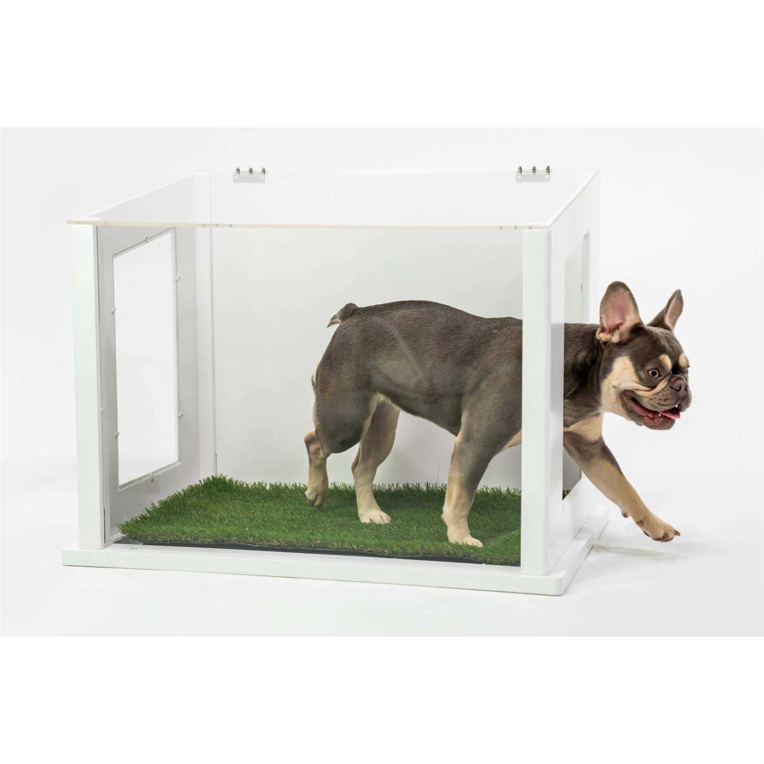 City Loo, Chic Dog or Cat Potty