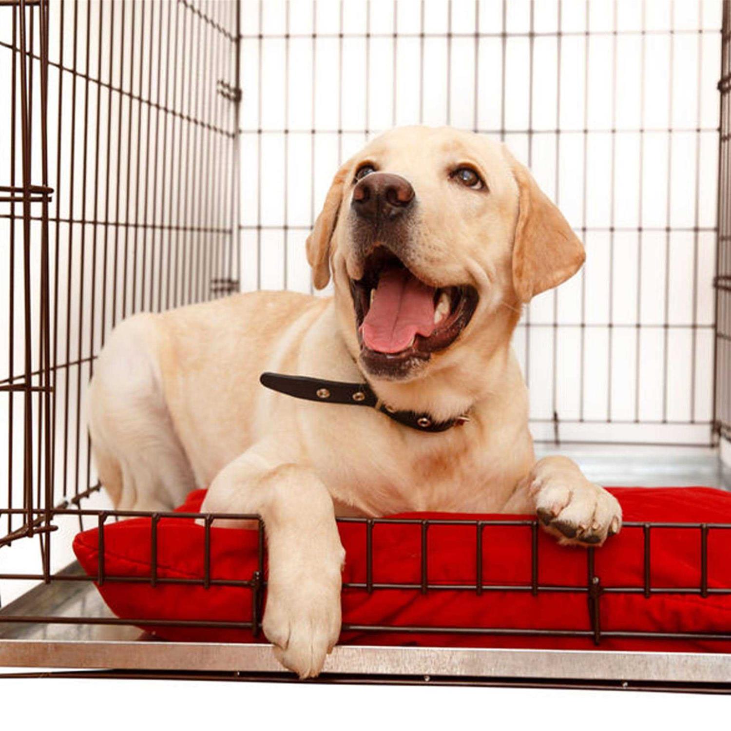 KOPEKS Galvanized Metal Tray for Dog Crates, Pet Kennels, Restaurant Grease Traps, and Floor Protection