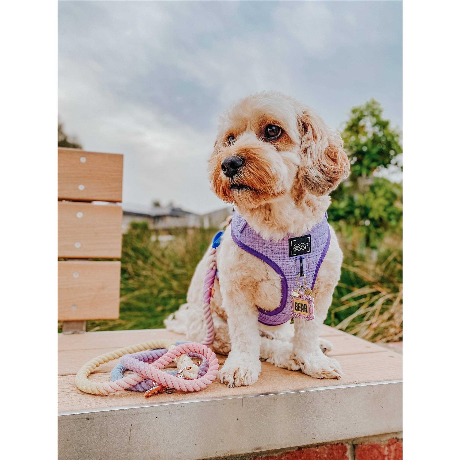 Dog Rope Leash Sassy Woof