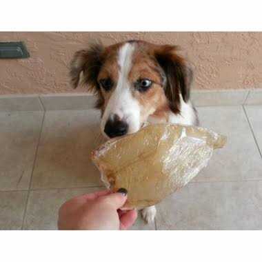 Bingo Free Range Buffalo Ears for Dogs