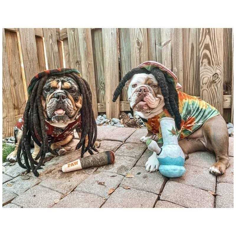 Nestpark Doggy Doobie Funny Dog Toys Plush Squeaky Dog Toys for Medium, Small and Large