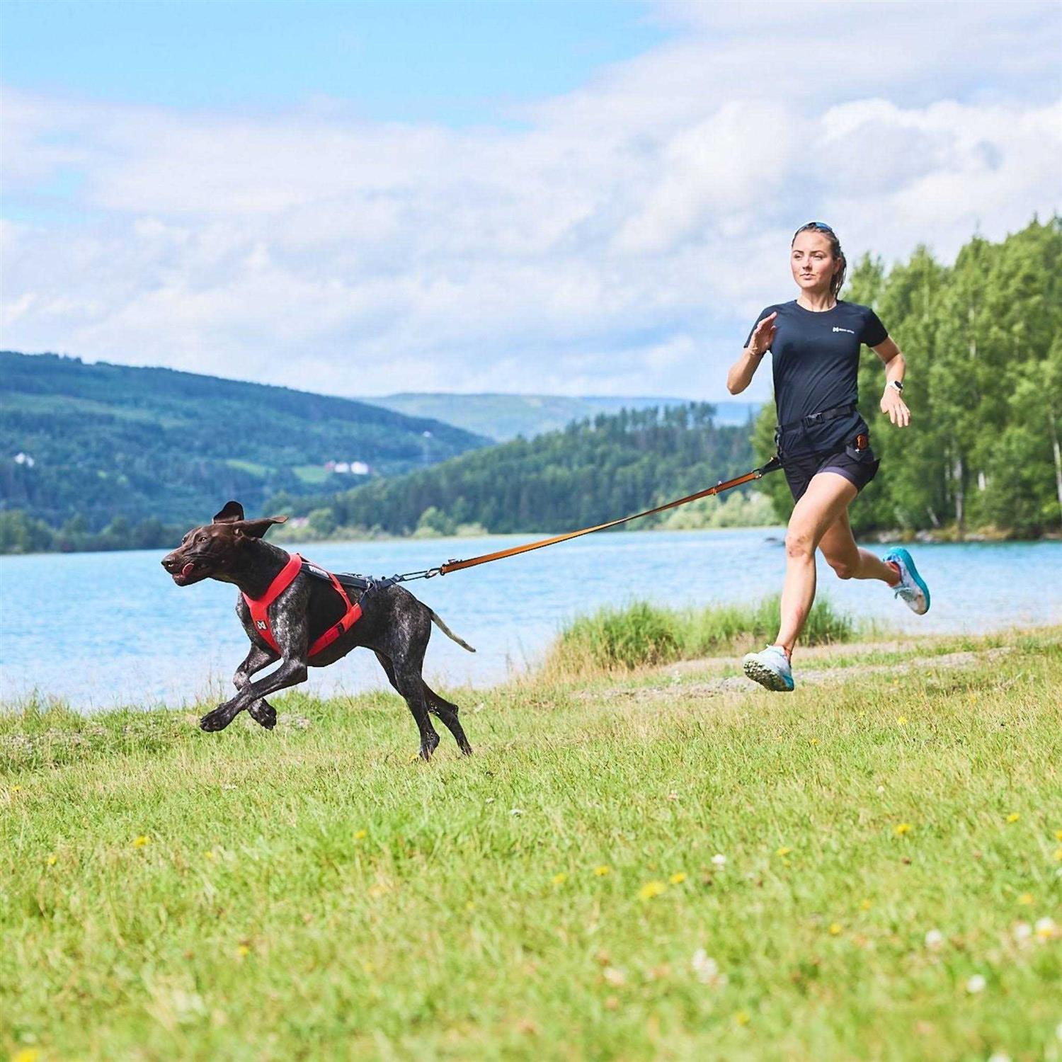 Non-Stop Dogwear Freemotion Harness 5.0