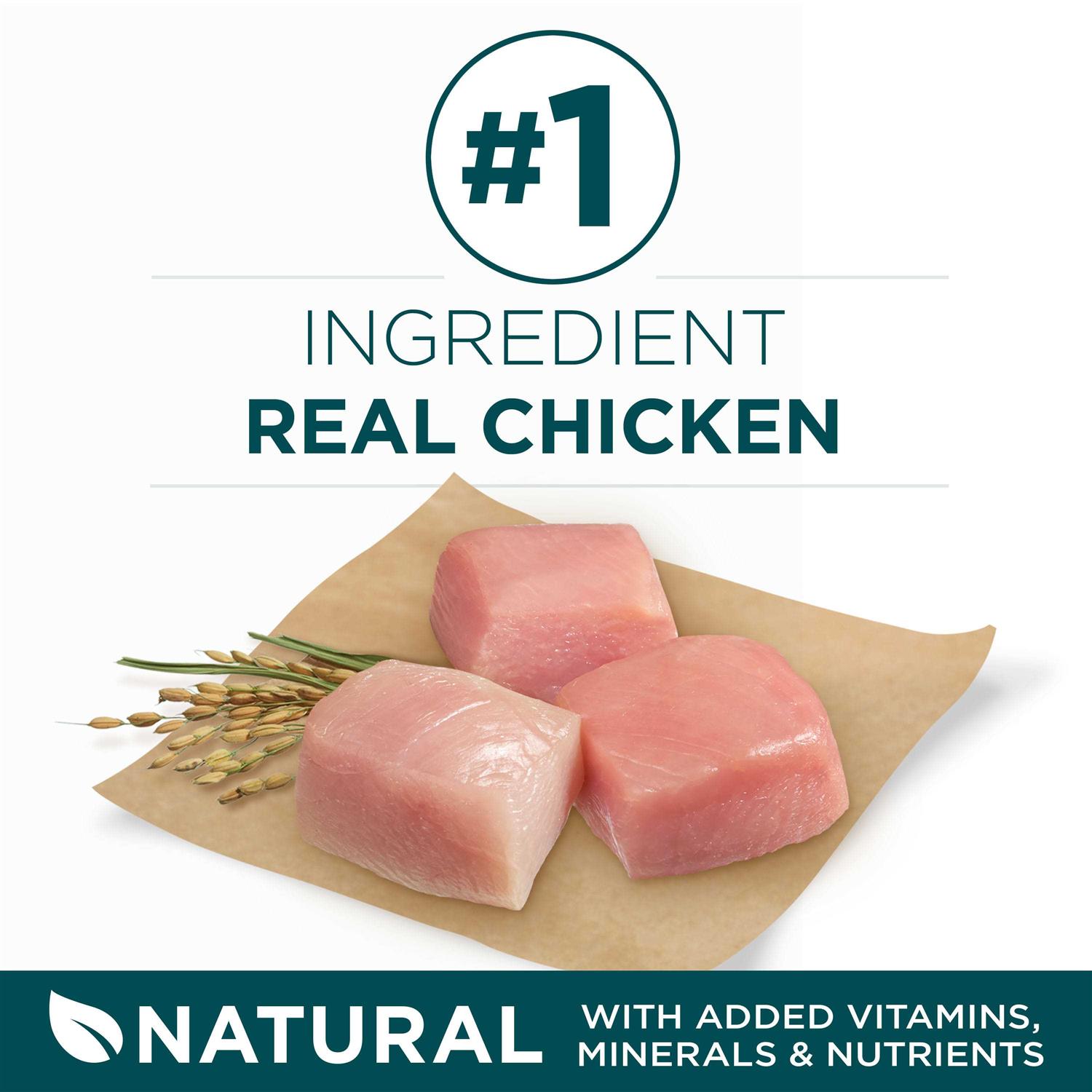 Purina ONE Large Breed Dry Puppy Food